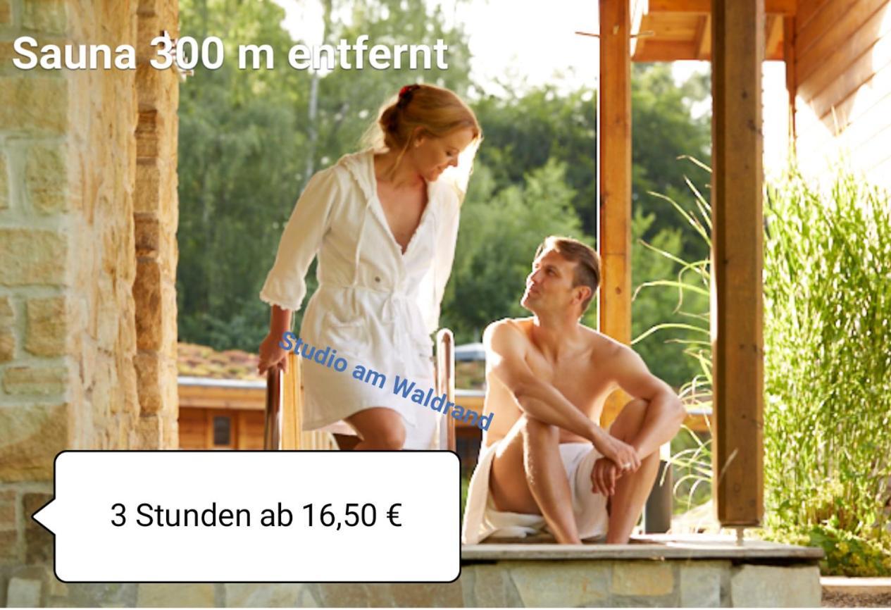 Studio Am Waldrand Wadgassen Eksteriør bilde